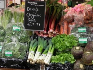 DSCN0517